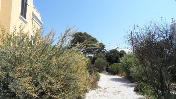 Vialetto villa antica