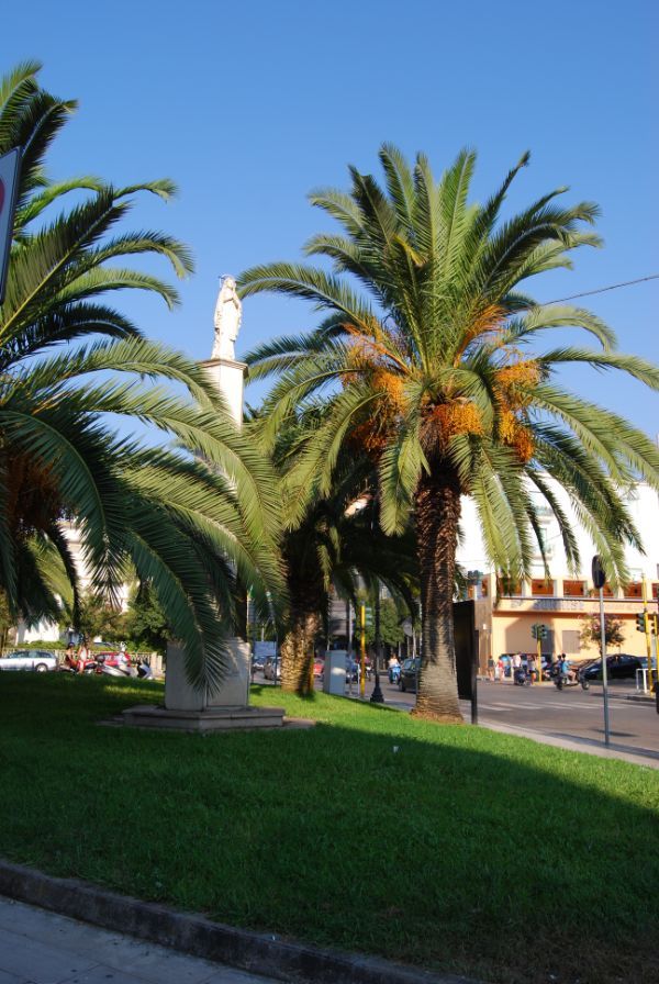 Triangolo urbano