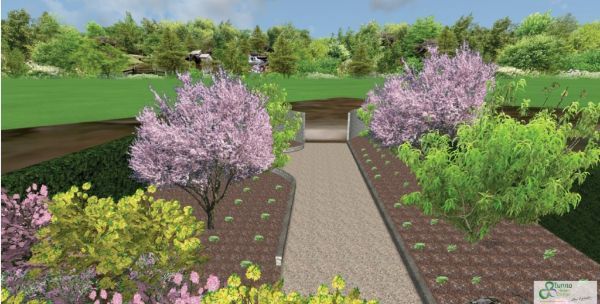 Vialetto con alberi fioriti