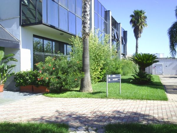 Vialetto in giardino ufficio