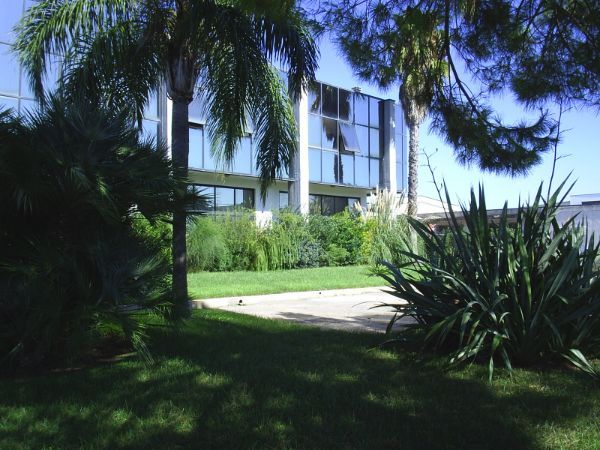 Giardino ufficio