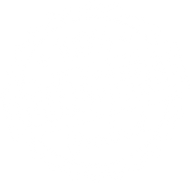 gluten free pasta
