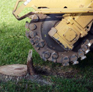 Stump removal-NW Ohio-KellerMyer Inc