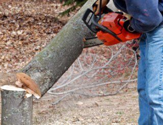 Tree Removal-NW Ohio-Kellermyer Inc Tree Removal-NW Ohio-Kellermyer Inc