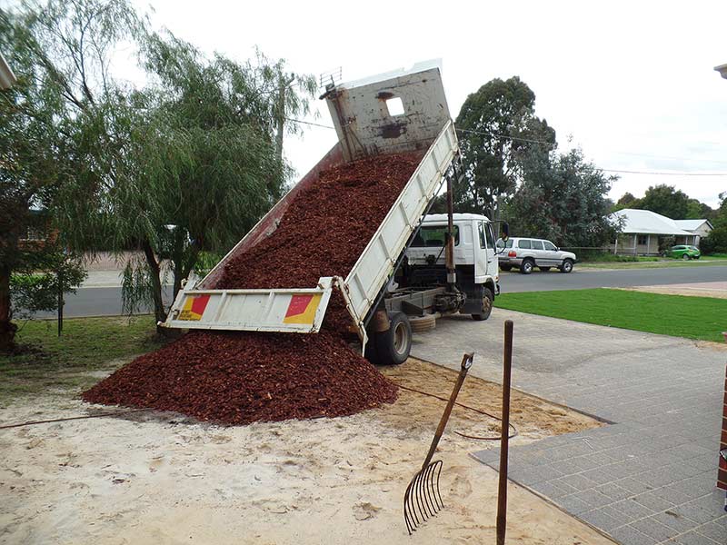 Mulch mulch