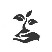 plant icon
