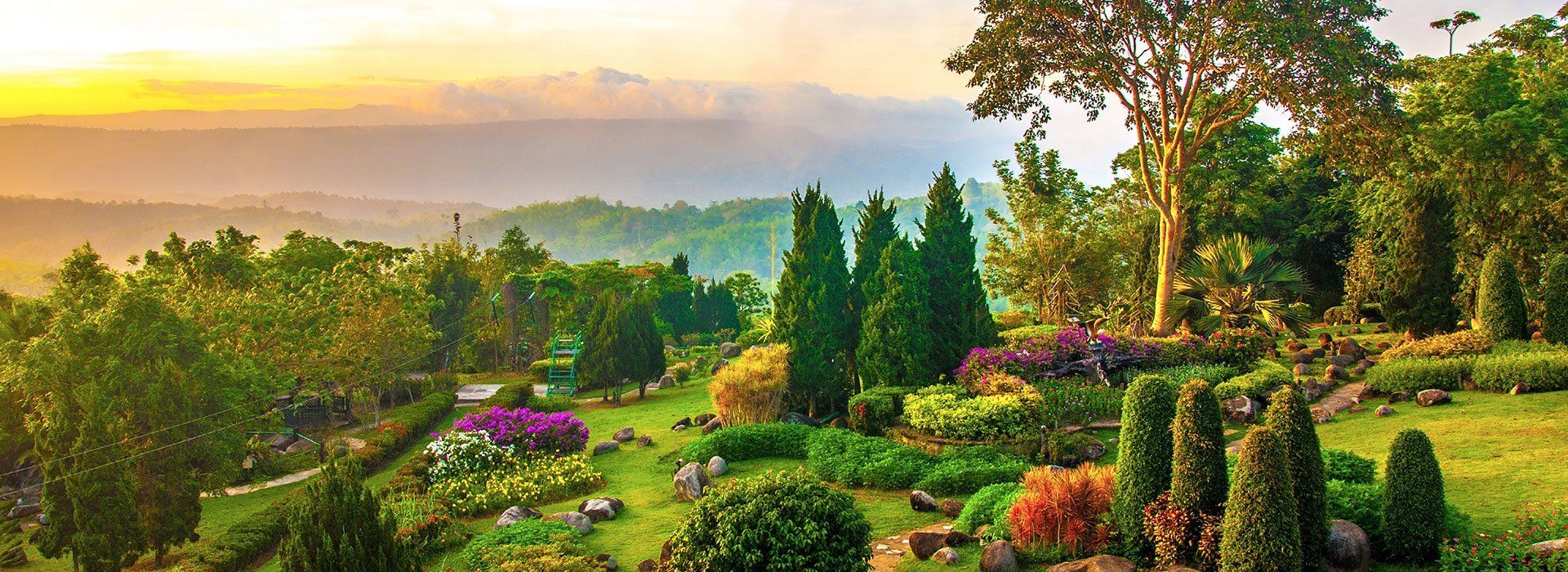 beautiful garden