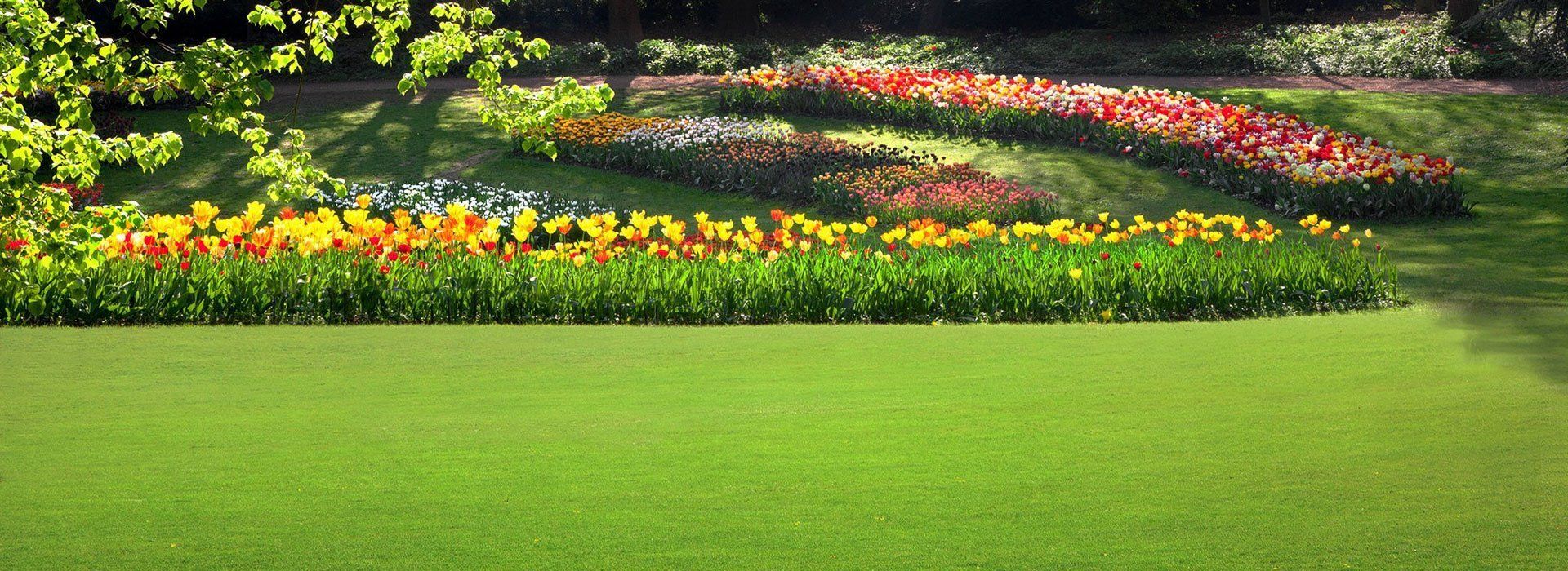 artificial grass