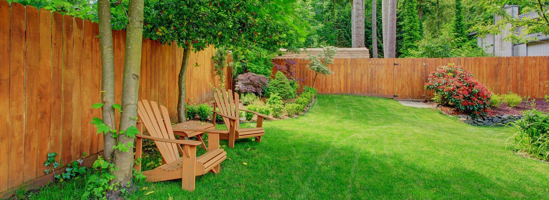 lawn