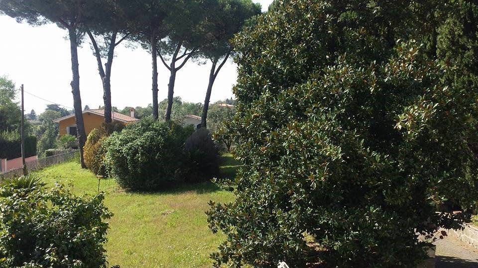 area verde