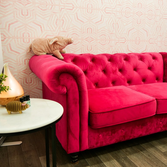 Little Pig Consulting couch