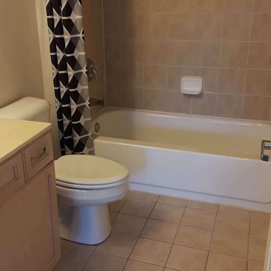 Toilet Cleaning — Elmwood Park, Illinois — Maria’s Cleaning Services at Elmwood Park