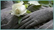 rosa bianca su sarcofago di pietra