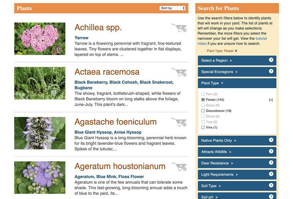 jersey yards plant database new jersey native plants