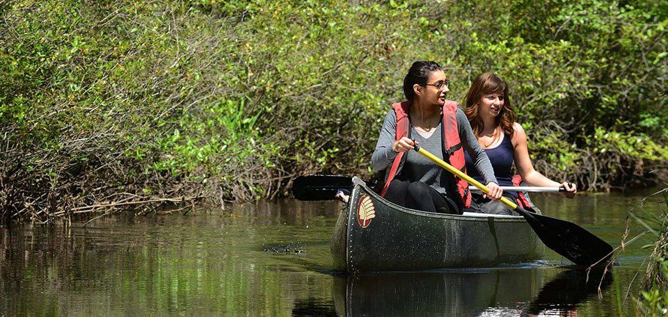 batsto river canoeing pinelands adventures sparkman media website design and content marketing