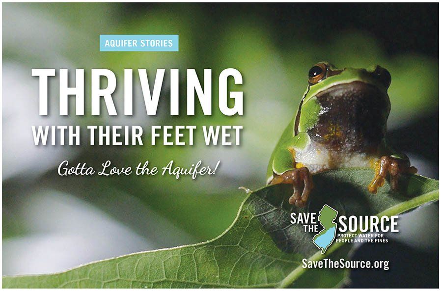 save the source campaign for kirkwood cohansey aquifer