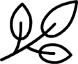 Leaf Icon