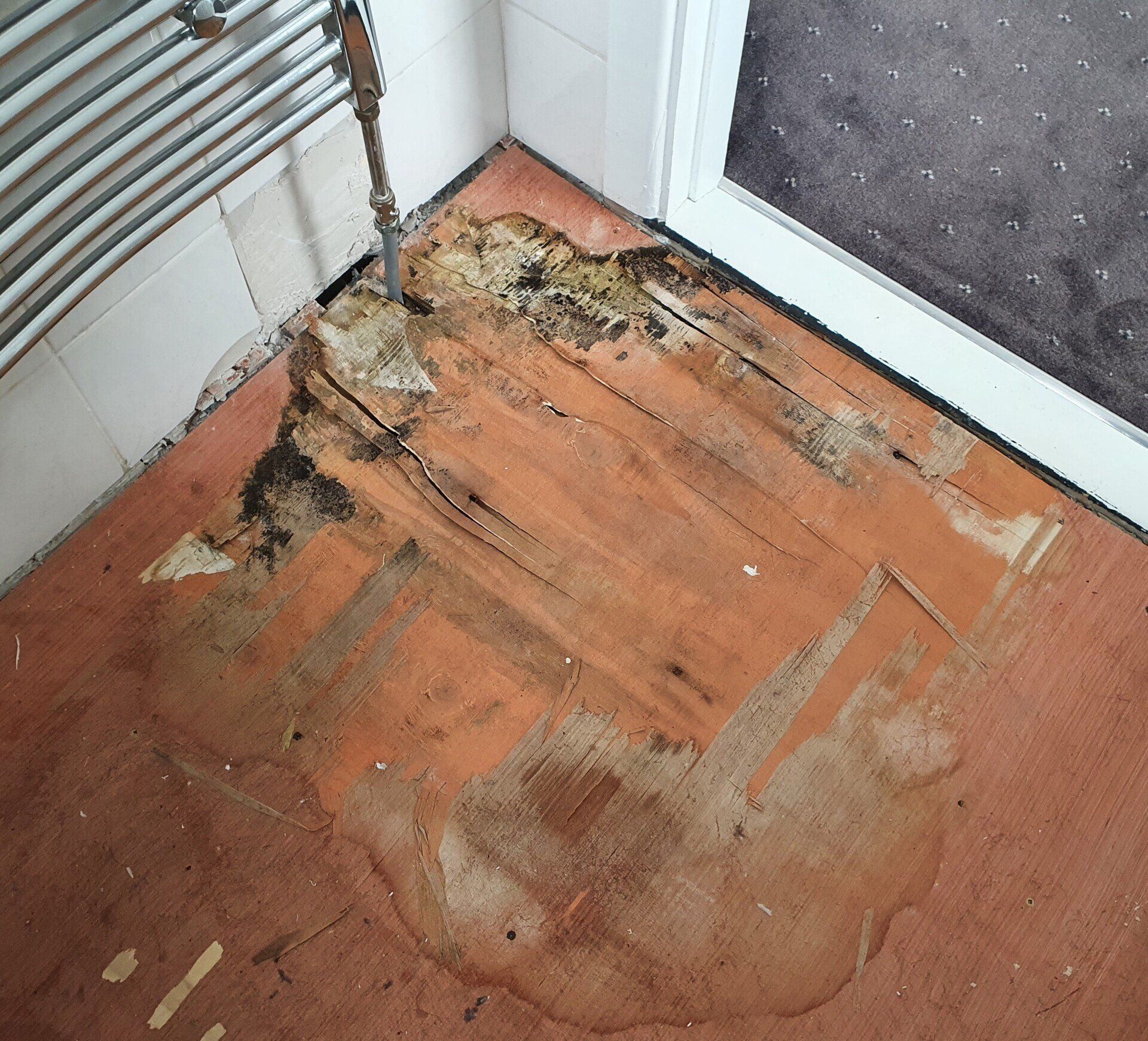 Laois- Property Damage Insurance Claim - Water Damage