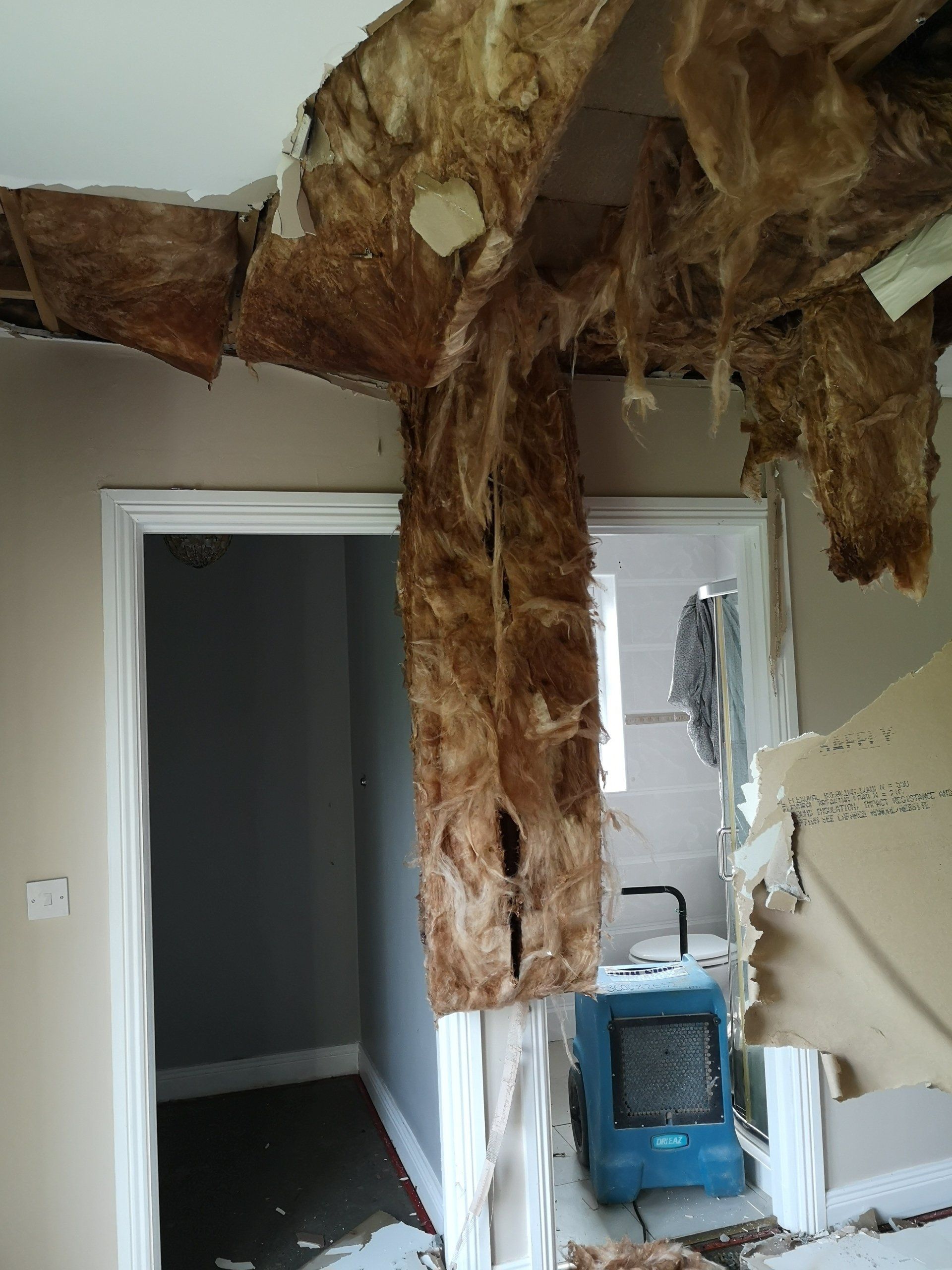 Laois- Property Damage Insurance Claim - Water Damage