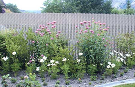 Landscaping Along Fence — Riverside, CA — Elrod Fence Co