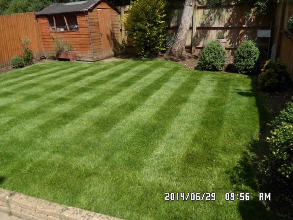 clean garden