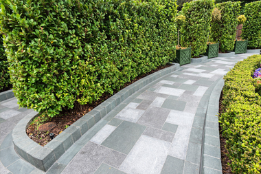 paving experts