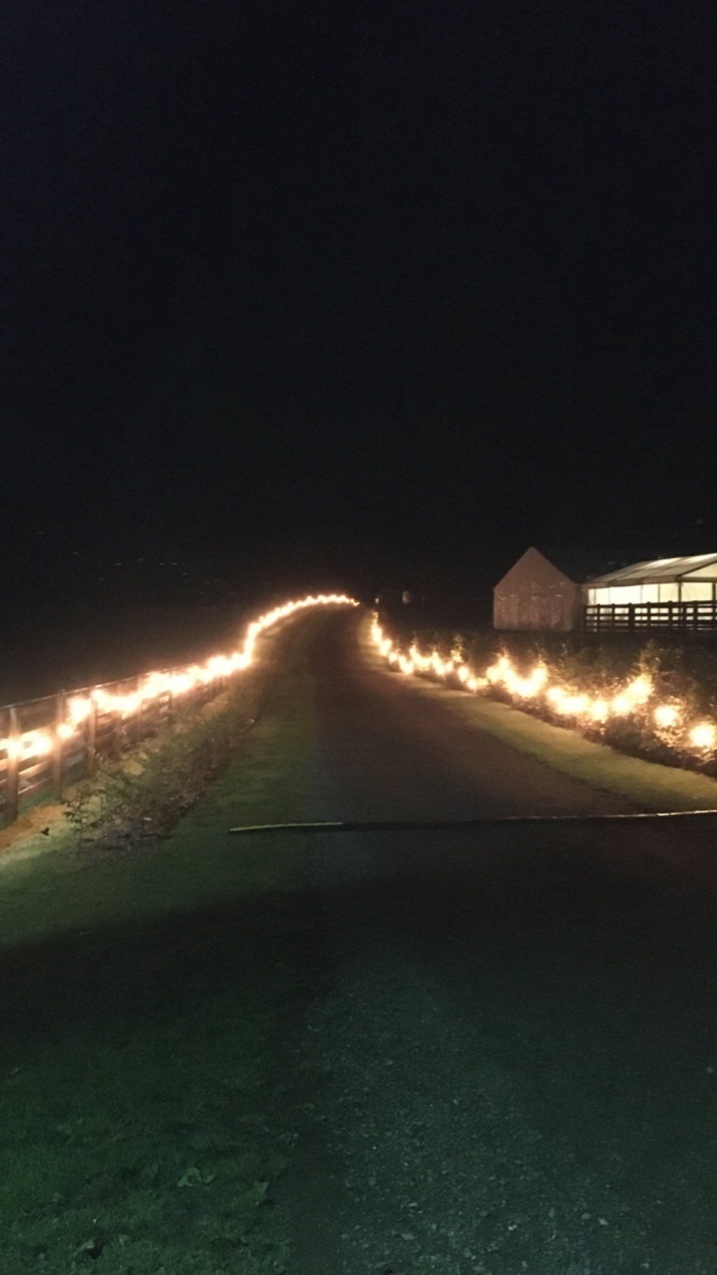 A dark path illuminated by glowing lights on either side, leading to a building at night.