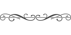 Decorative flourish element. Gray swirls and lines create an ornamental design for visual separation.