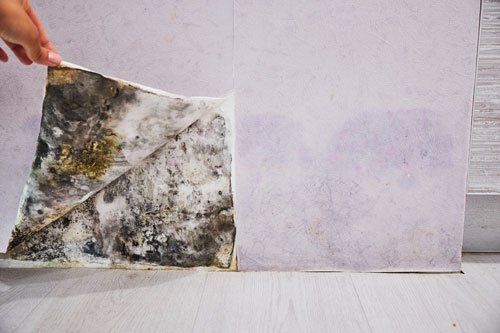 A home in need of our mold remediation Services in Coconino County, AZ