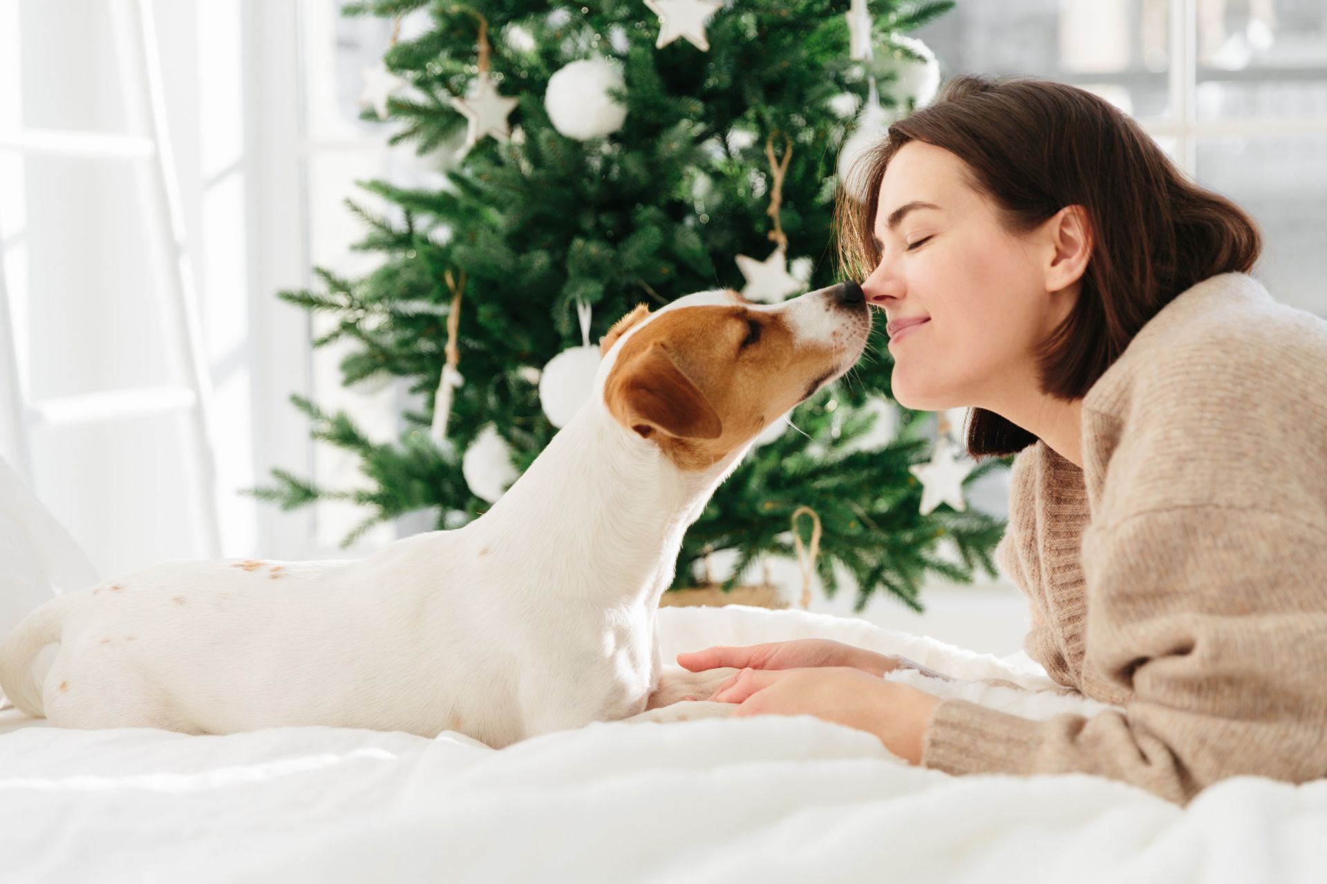 Polizza per animali