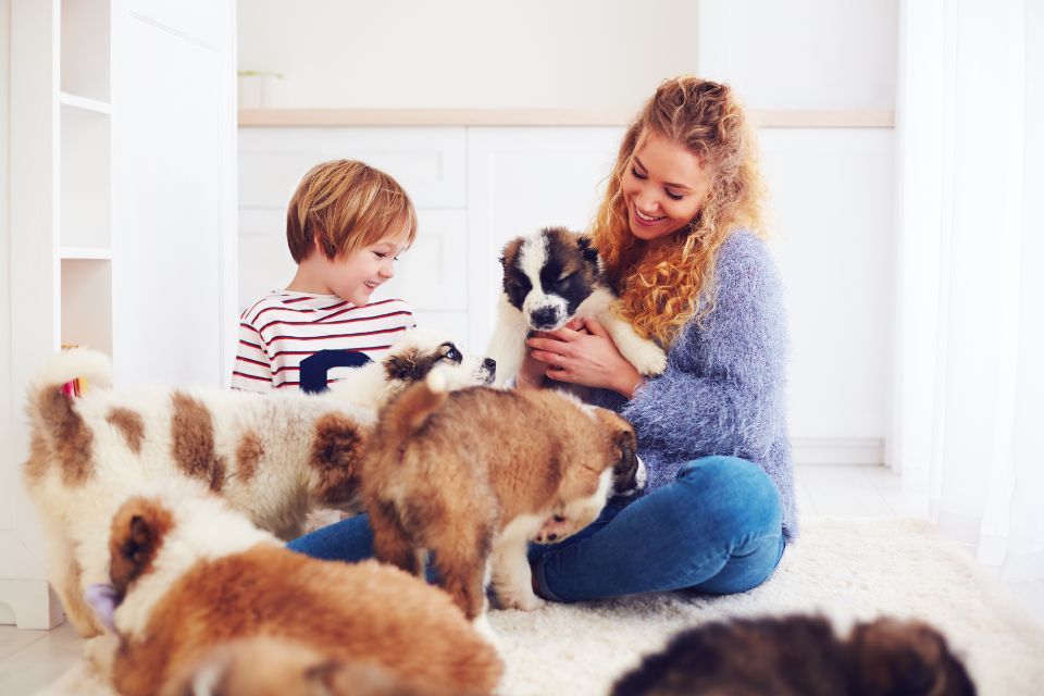 Polizza per animali domestici