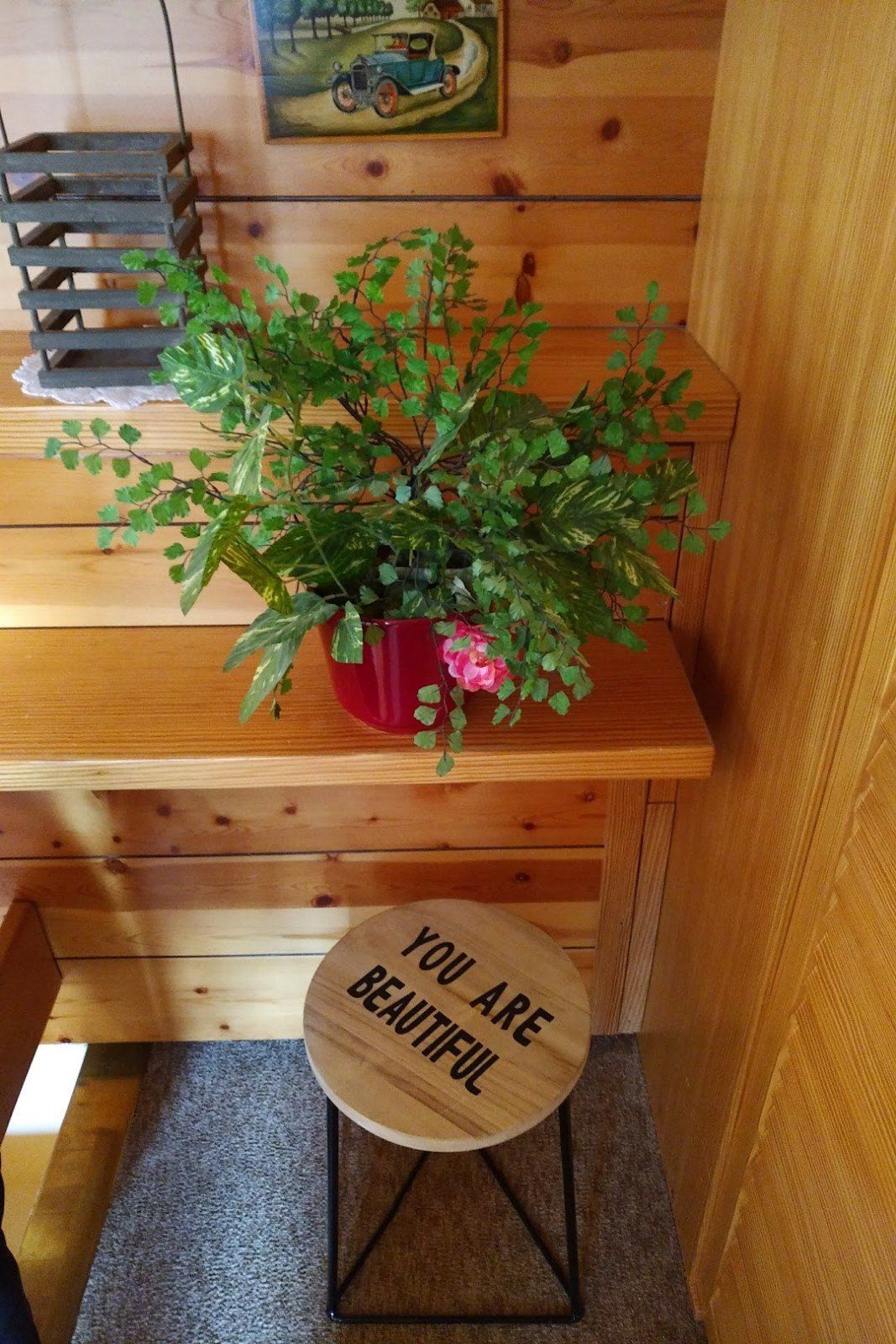 Decorations in the living room, seeing a plant