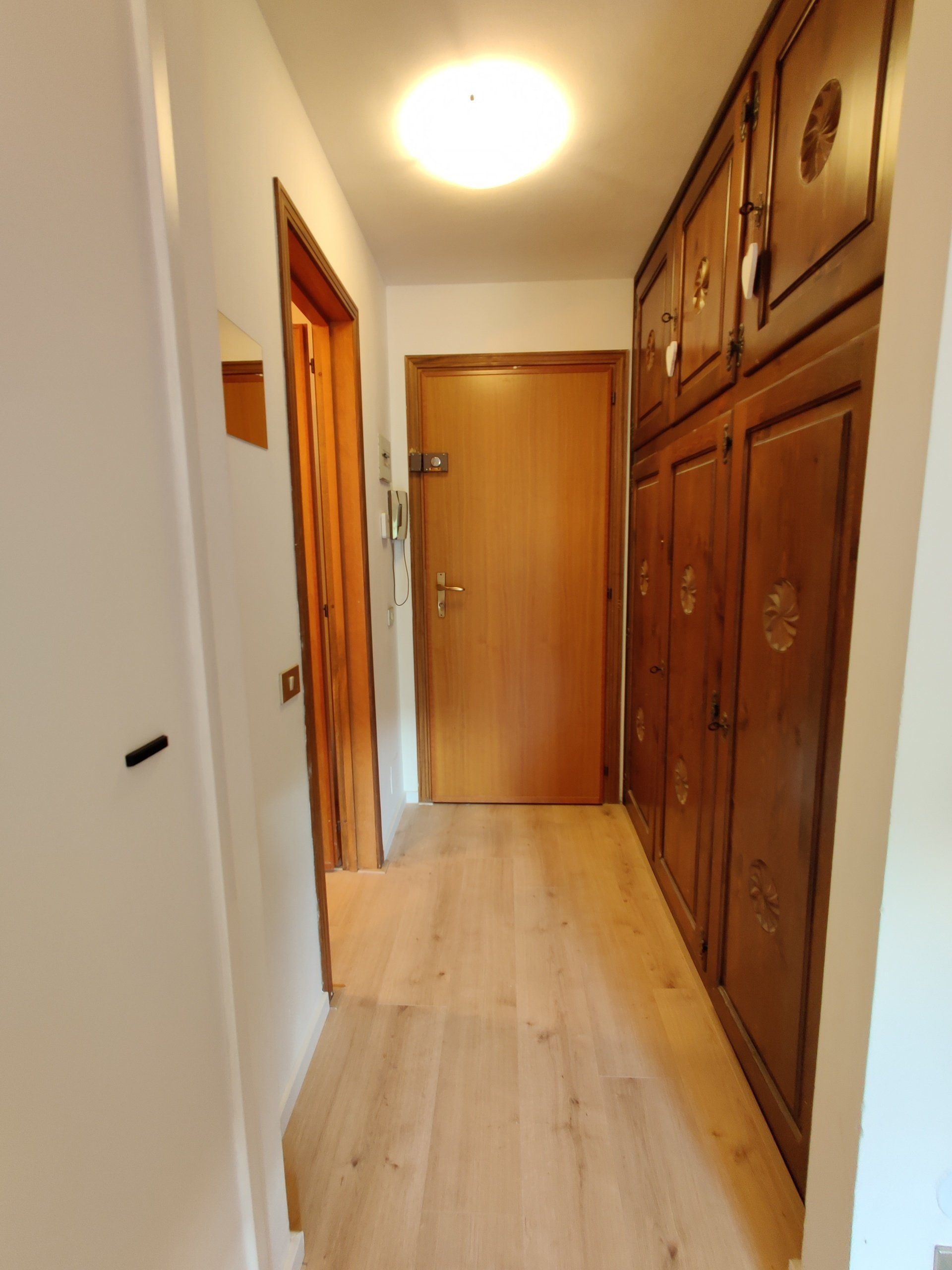 The hallway with a closet and two doors