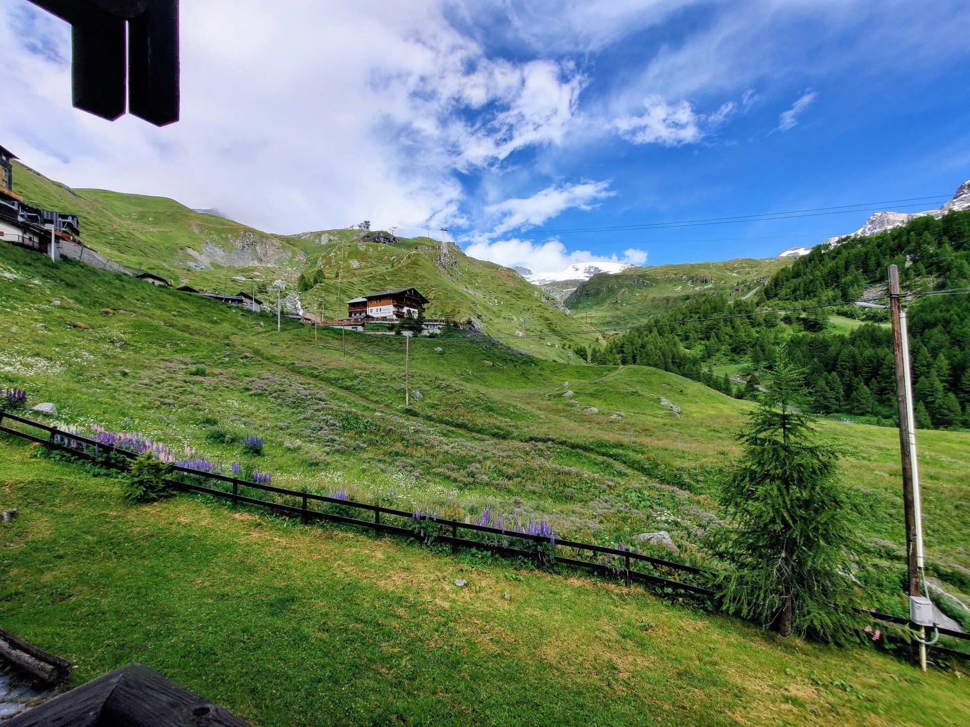 The mountains in summer