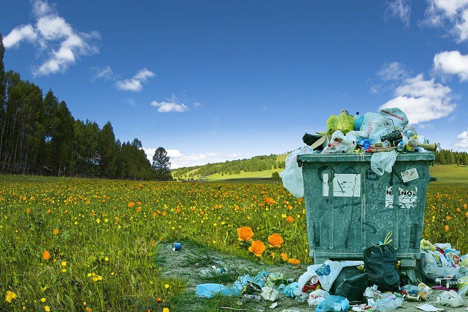Basura