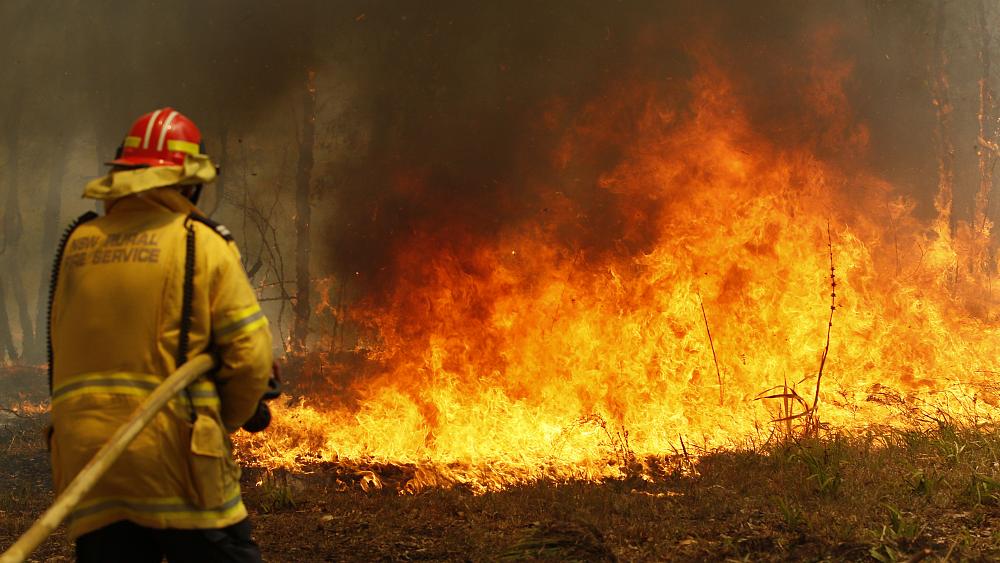 Incendios forestales Incendios forestales