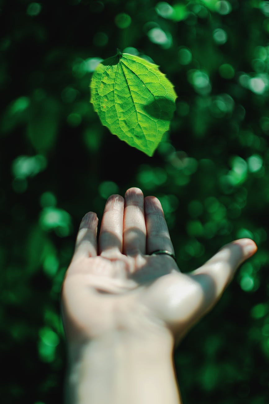 Impacto del medio ambiente en la salud Impacto del medio ambiente en la salud