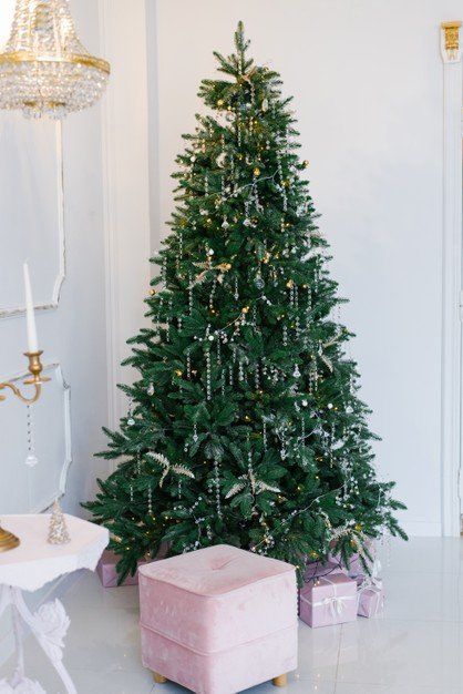 pino de navidad pino de navidad