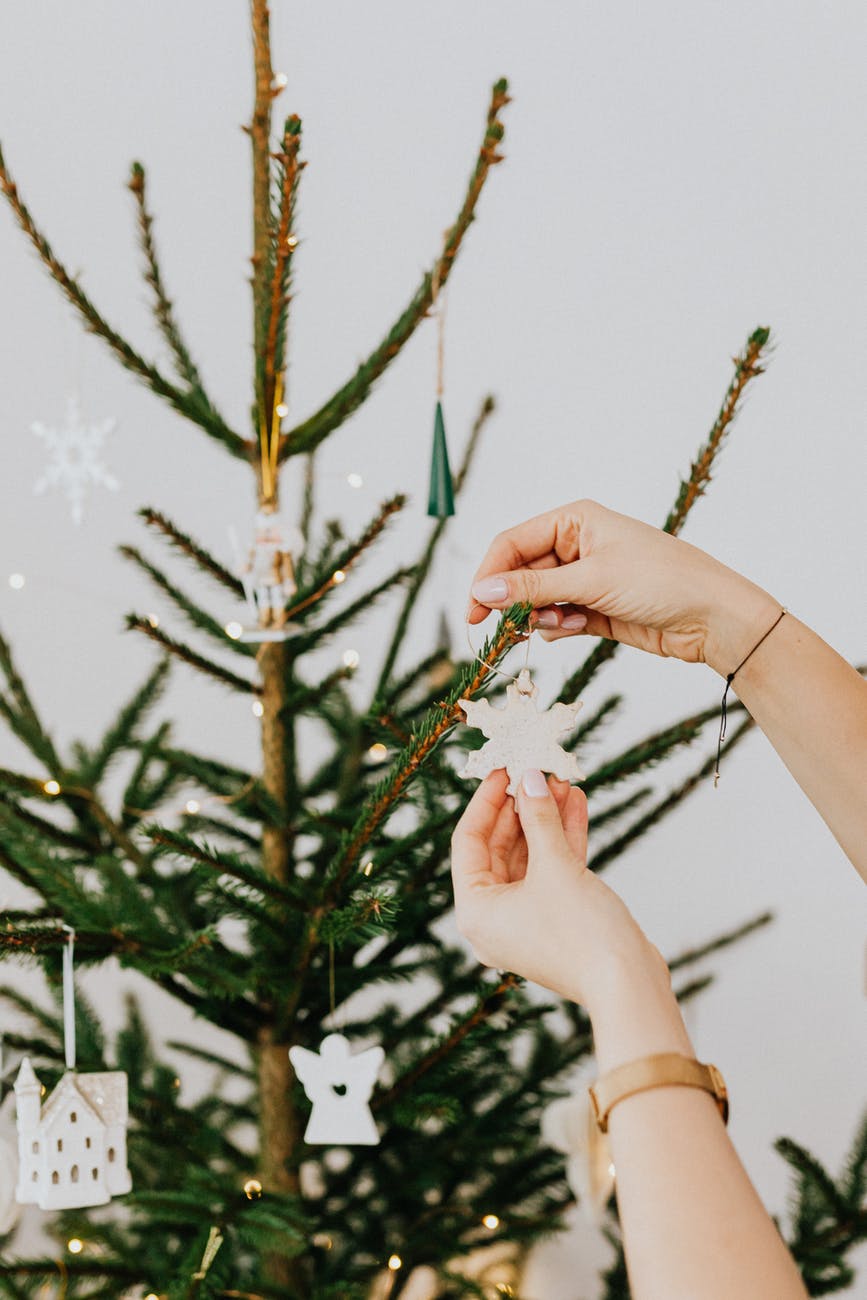 pino de navidad pino de navidad