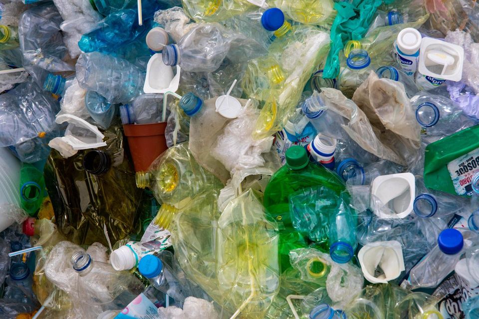 basura en monterrey basura en monterrey