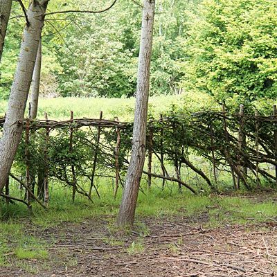 Countrywise Tree Care 1