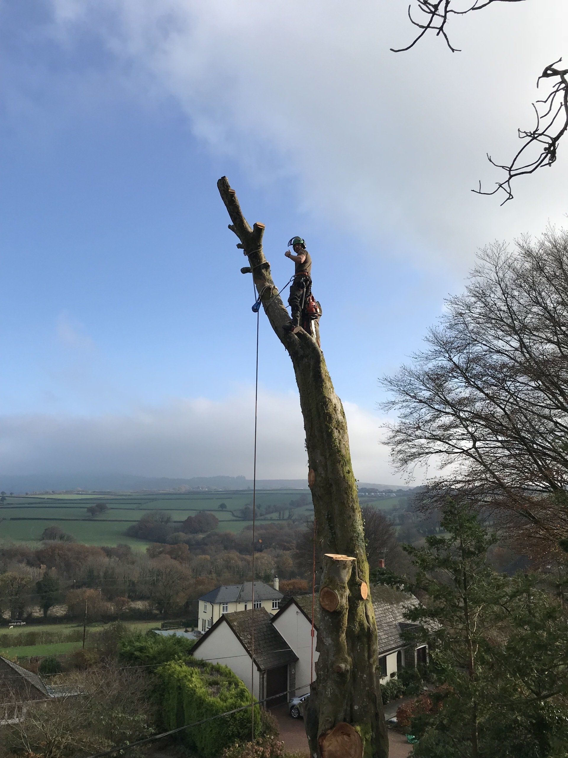 Countrywise Tree Care 3