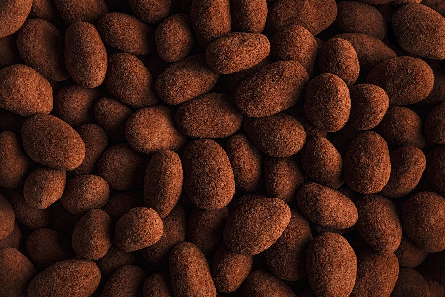 All the know-how of Guillaume Bichet for the manufacture of the Amandes Princesses Know How Amandes Princesses Guillaume Bichet Geneva
