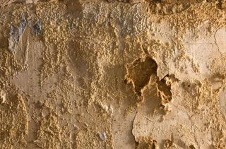 walls affected due to damps
