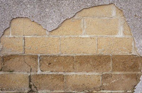 wall affected due to patches and damp