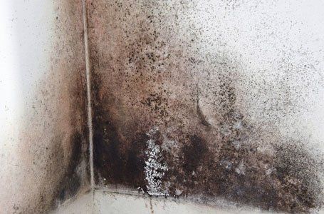 a wall affected due to damp and moulds