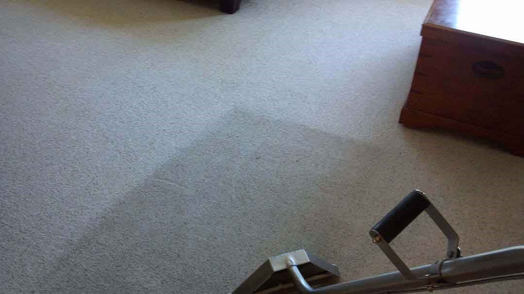 Carpet Cleaning