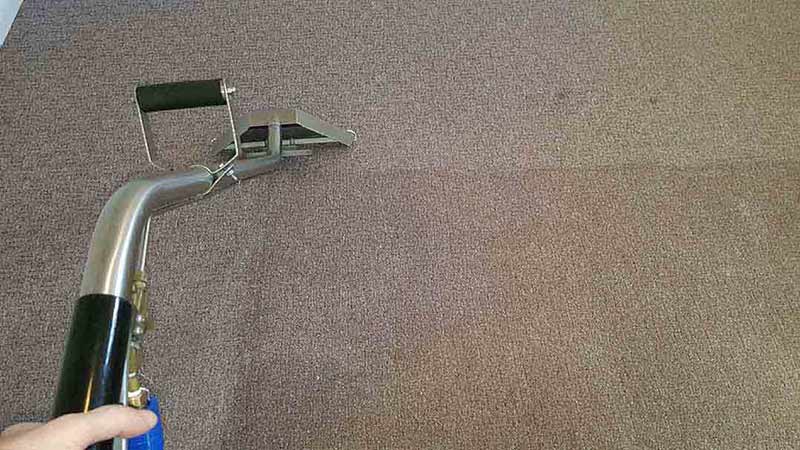 Carpet Cleaning