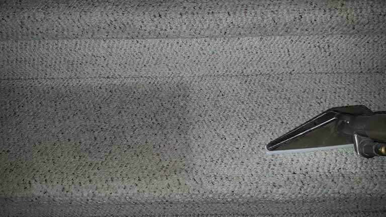 Carpet Cleaning