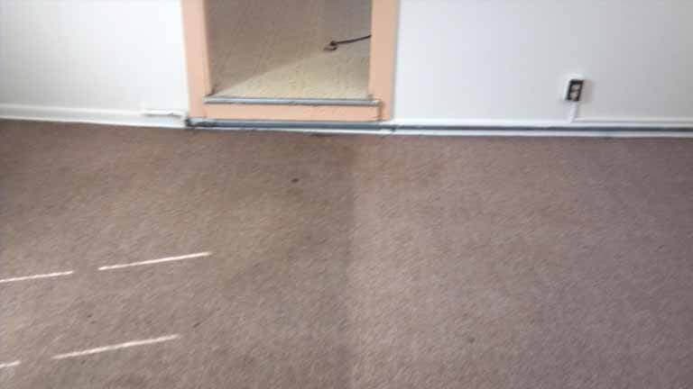 Carpet Cleaning